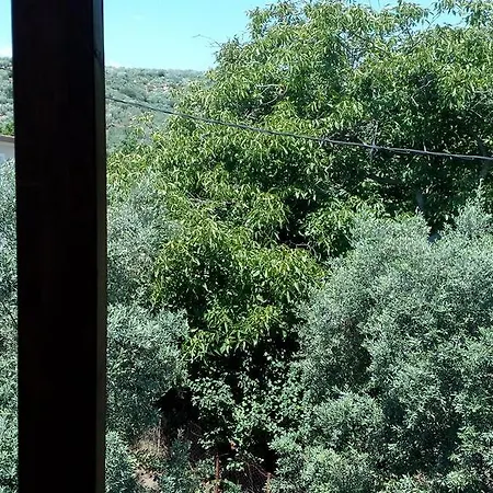 Anastasia * Pteleos